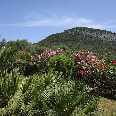 Villa Msv Finca Cavola, Tranquila Finca Cerca De Pollenca